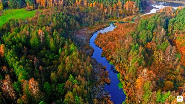 Магия осенней трансформации. Антикризисная медитация. Как настроиться на позитивные мысли в кризис. смотреть онлайн