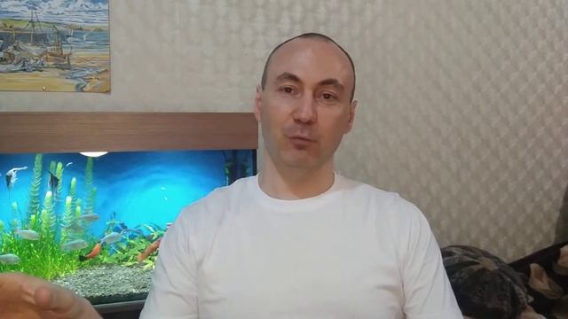 На дне купил акции ВТБ. Аргументирую, почему это математически верно. 14 июля 2022г. смотреть онлайн