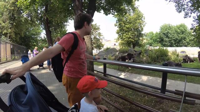 Московский зоопарк. Moscow zoo смотреть онлайн