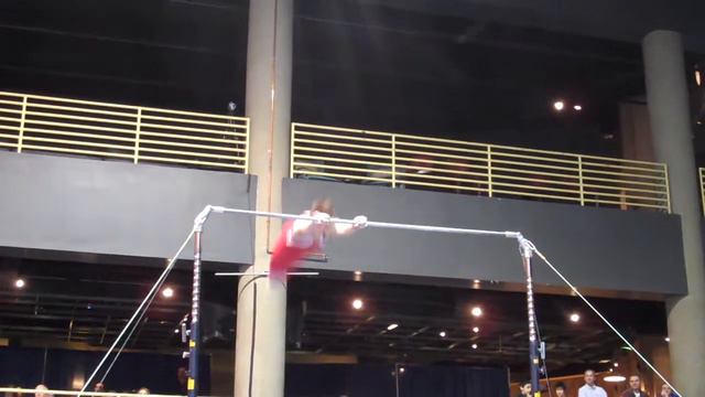 Daniel Potemski - High Bar - 2010 Winter Cup - Day 1 смотреть онлайн