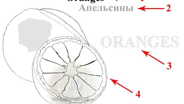 Раскраски для детей с изучением английского языка смотреть онлайн