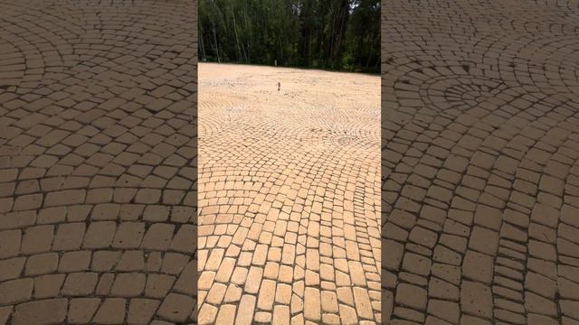 Жаркая прогулка смотреть онлайн