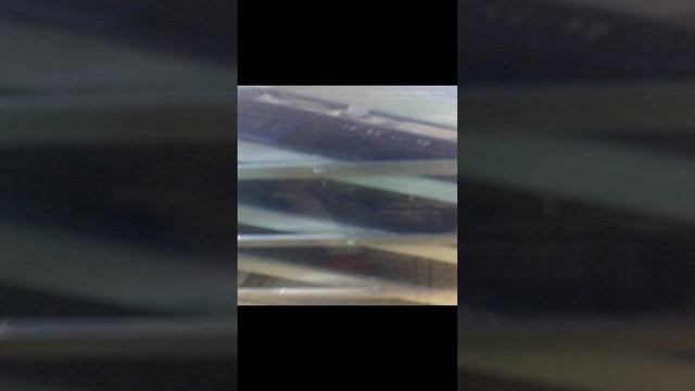 2023-03-14 смотреть онлайн