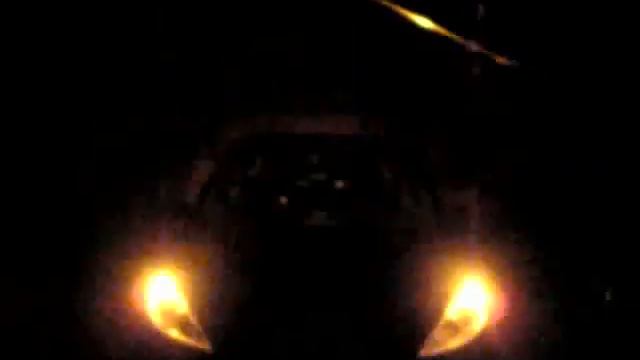 Peugeot 307 Door Mirror Turn-signal Lamp