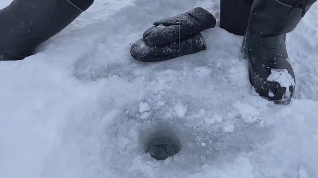 Ноу-хау! Блесна с бисером рулит! Подледная ловля окуня и щуки на водохранилище. смотреть онлайн