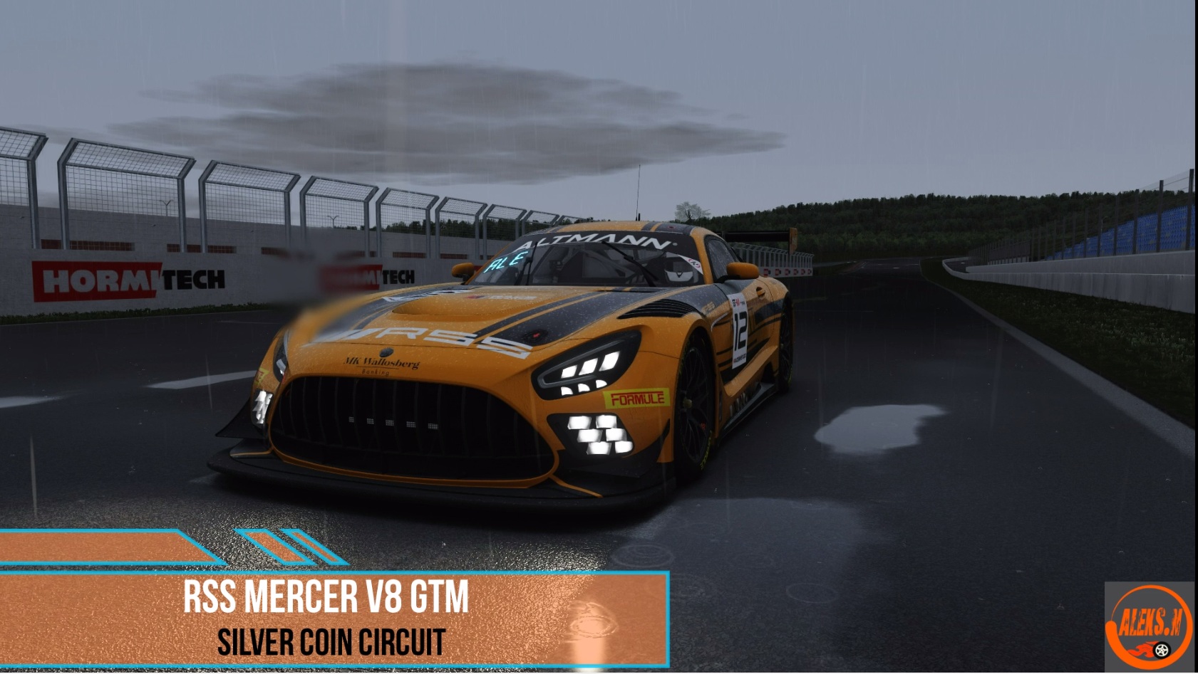 RSS Mercer V8 GTM - Silver Coin Circuit / Assetto Corsa. смотреть онлайн