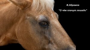 Ф. Абрамов "О чём плачут лошади"