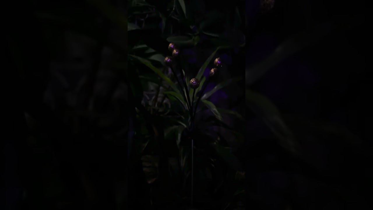 Светильник грунтовый Лалели, артикул 602-2401