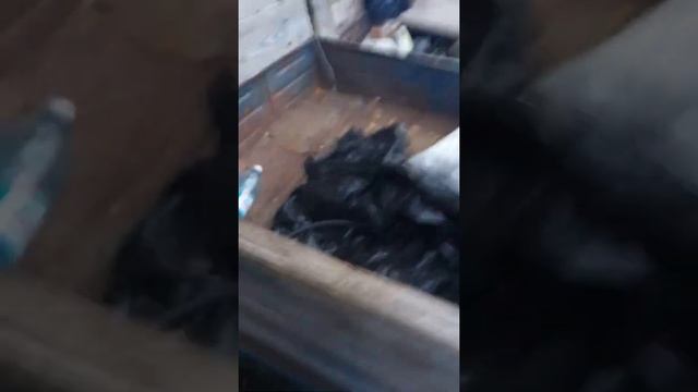 Мотороллер муравей смотреть онлайн