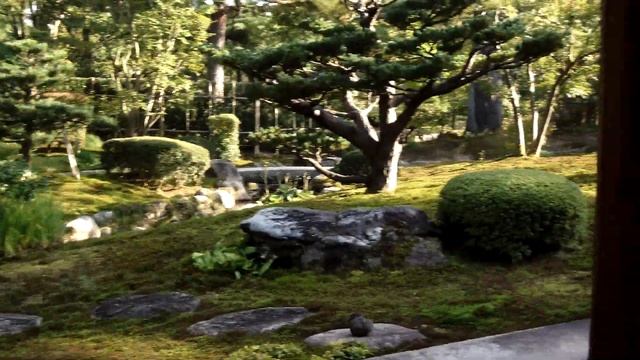 Парк Кэнрокуэн. Сад для чайной церемонии. Японский язык. Изучение японского языка онлайн смотреть онлайн