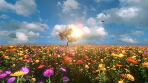 Совместимость мужчины Водолей и женщины Лев