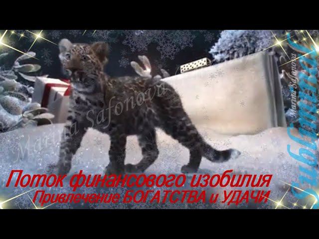 ⚠️ САБЛИМИНАЛ НА ДЕНЬГИ/ПОДАРКИ ОТ ВСЕЛЕННОЙ/ПОТОК ФИНАНСОВОГО ИЗОБИЛИЯ/ПРИВЛЕЧЕНИЕ БОГАТСТВА/УДАЧИ смотреть онлайн