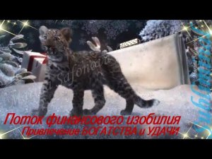 ⚠️ САБЛИМИНАЛ НА ДЕНЬГИ/ПОДАРКИ ОТ ВСЕЛЕННОЙ/ПОТОК ФИНАНСОВОГО ИЗОБИЛИЯ/ПРИВЛЕЧЕНИЕ БОГАТСТВА/УДАЧИ