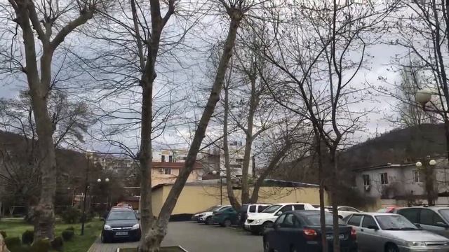 СОЧИ 2021 прогулка по Хосте смотреть онлайн