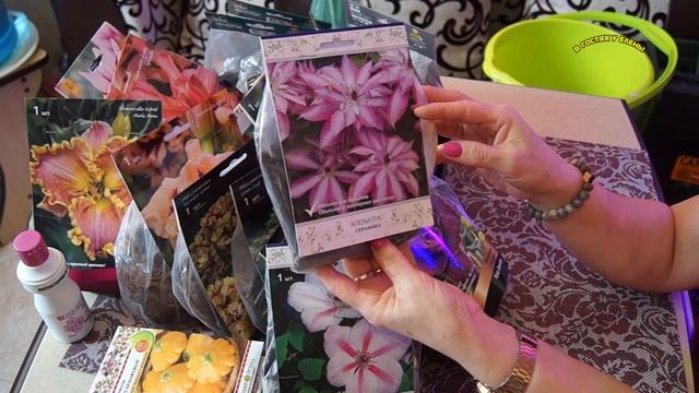 МЕГА ЗАКУПКА МНОГОЛЕТНИХ РАСТЕНИЙ ДЛЯ САДА, СЕМЕНА И... смотреть онлайн