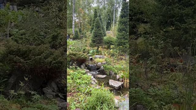 #сад #ландшафт #природа #искусство #алтай #АГУ смотреть онлайн