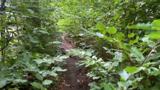 Nature Hike in Hluboka nad Vltavou, Czech Republic | Beautiful Scenery смотреть онлайн