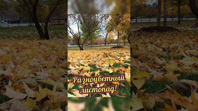 С добрым утром! смотреть онлайн