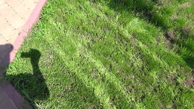 Первая стрижка газона 2020 год смотреть онлайн