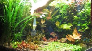 JUWEL Bioflow 3.0  Hoover/Пылесос.