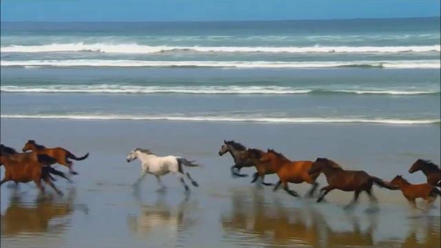 Наша планета самая красивая смотреть онлайн