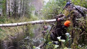 Охотник МОРОЗ А.П.   ответы на вопросы 2