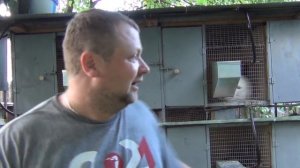 Показываю клетки и  кормушки для кроликов! Какие породы выгоднее держать на мясо! Племенные кролики