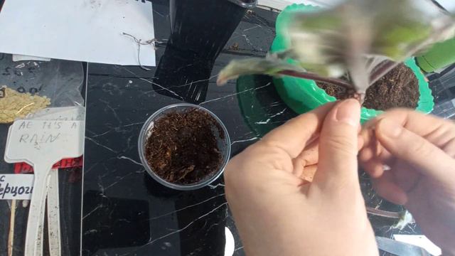 19 февраля 2023 г. смотреть онлайн