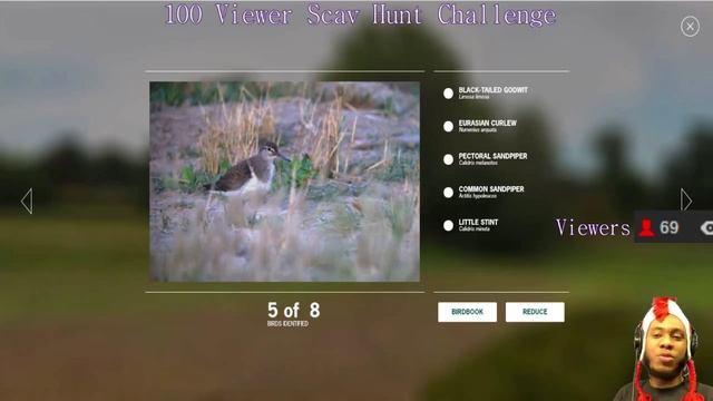 100 Viewer Breck Scav Hunt Challenge! | Bird Watcher: The Interactive Birding Game | I LUV YOU! смотреть онлайн