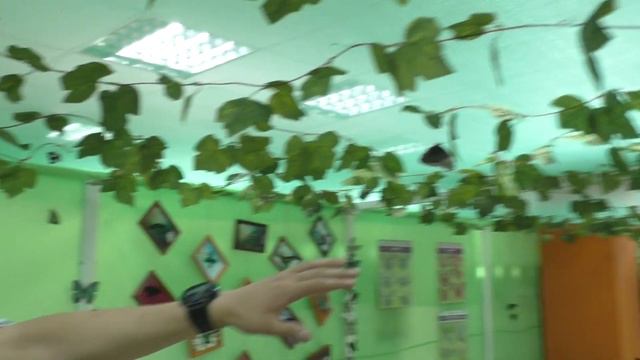 "Каникулы в Яровом" - выставка тропических бабочек смотреть онлайн