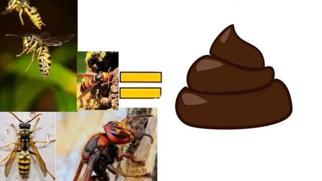 Все осы мира говно смотреть онлайн