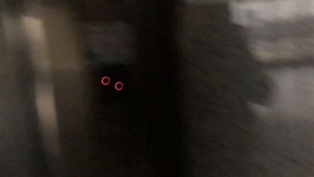 Лифты МЛМ 2000 г. в. (модер. в 2021 г.) @ Минский вокзал смотреть онлайн