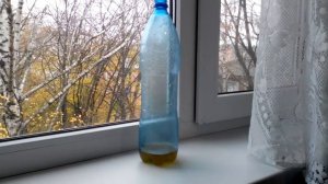 Как избавиться от мышей квартире рас и навсегда TO CATCH MICE