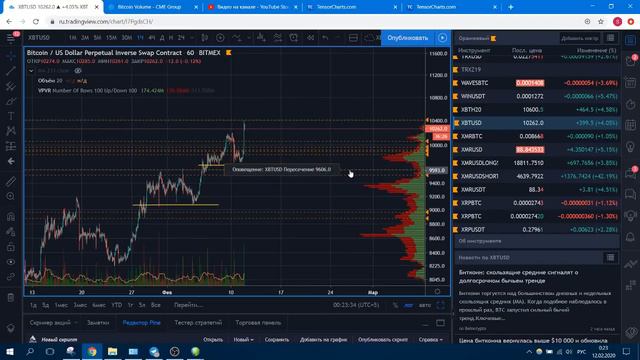 Краткий обзор рынка Btc (Биткоин) от 12.02.2020 смотреть онлайн
