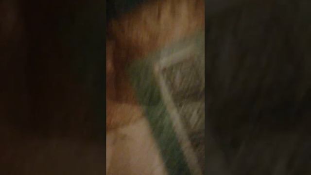 гонка в 10000000000 ₽ а кто победит смотри в этом видео. смотреть онлайн