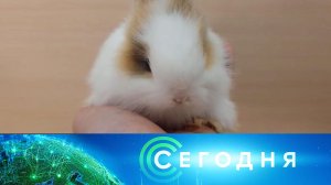 «Сегодня»: 31 декабря 2022 года. 08:00 | Выпуск новостей | Новости НТВ