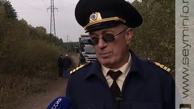 Клев будет: в Железногорское водохранилище выпустили 470 тыс мальков сазана смотреть онлайн
