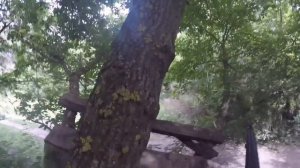 Войнушки в лесу! Vlog!