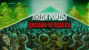 Люди роиды и Дизайн человека