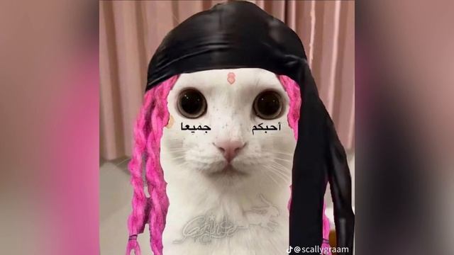 CLONNEX X SEMMYX — ROBLOX [SPEEDCORE]