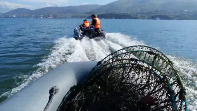 Кайман 360 & Yamaha 9,9 (2019) Камчатка смотреть онлайн