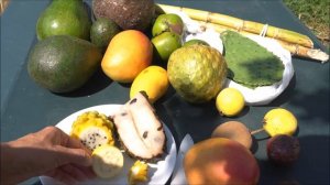 Пробуем тропические фрукты. Часть1/Tropical fruit sampling. Part 1