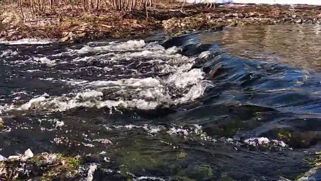 Одна из самых чистых рек на планете земля! Река Студёнка Республика Марий Эл. SlowMo. смотреть онлайн