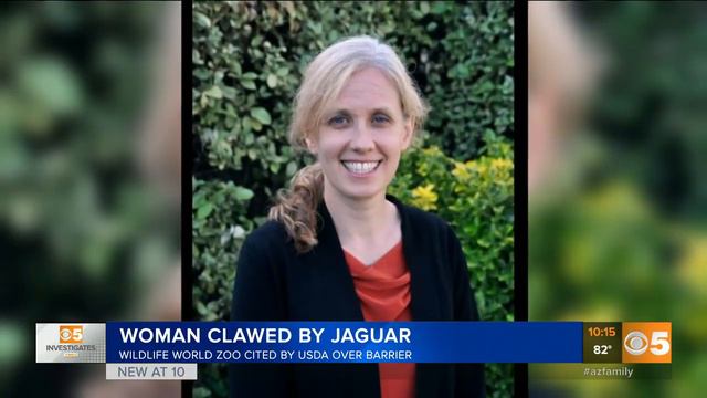 Changes made to jaguar exhibit after attack at Wildlife World Zoo смотреть онлайн