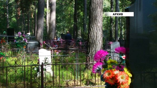 Земля Уйского кладбища станет особо охраняемой территорией смотреть онлайн