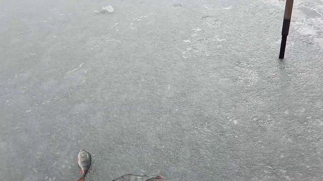 И так заключение : БЕЗМОТЫЛКА - работает всегда !!! Но на неё сильно влияет атмосферное давление!!! смотреть онлайн