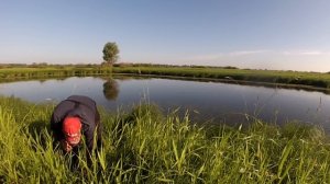 КИЛОГРАММОВЫЕ КАРАСИ НА ДИКОМ ОЗЕРЕ!! ЛОВЛЯ КАРАСЯ НА ПОПЛАВОК.Рыбалка в ИЮНЕ.