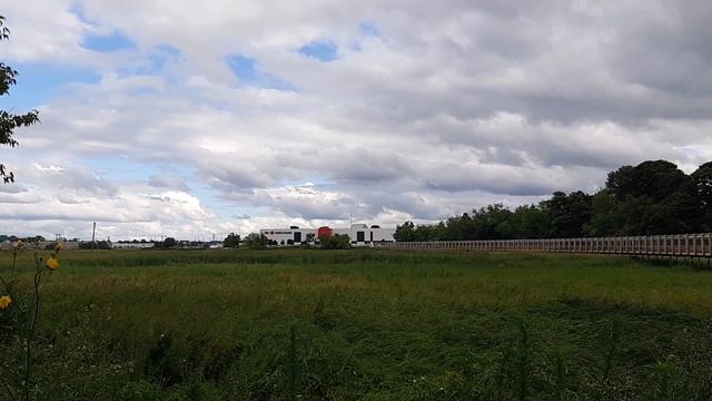 Прогулка в магазин. Центр Монктона, который не выглядит как центр. смотреть онлайн