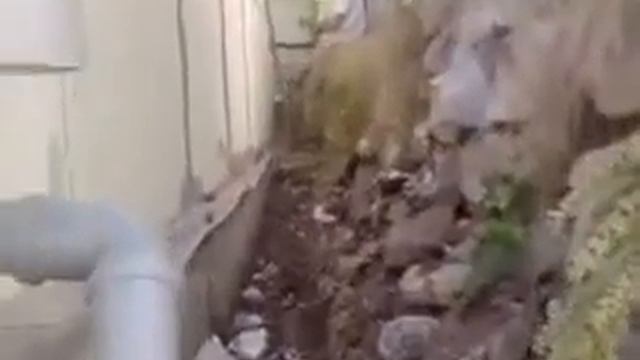 Утеплення фундаменту пінопластом