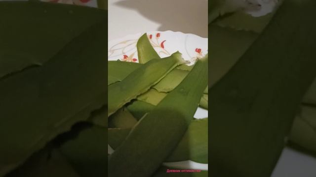 ВРЕДИТЕЛИ НА ОРХИДЕЕ смотреть онлайн